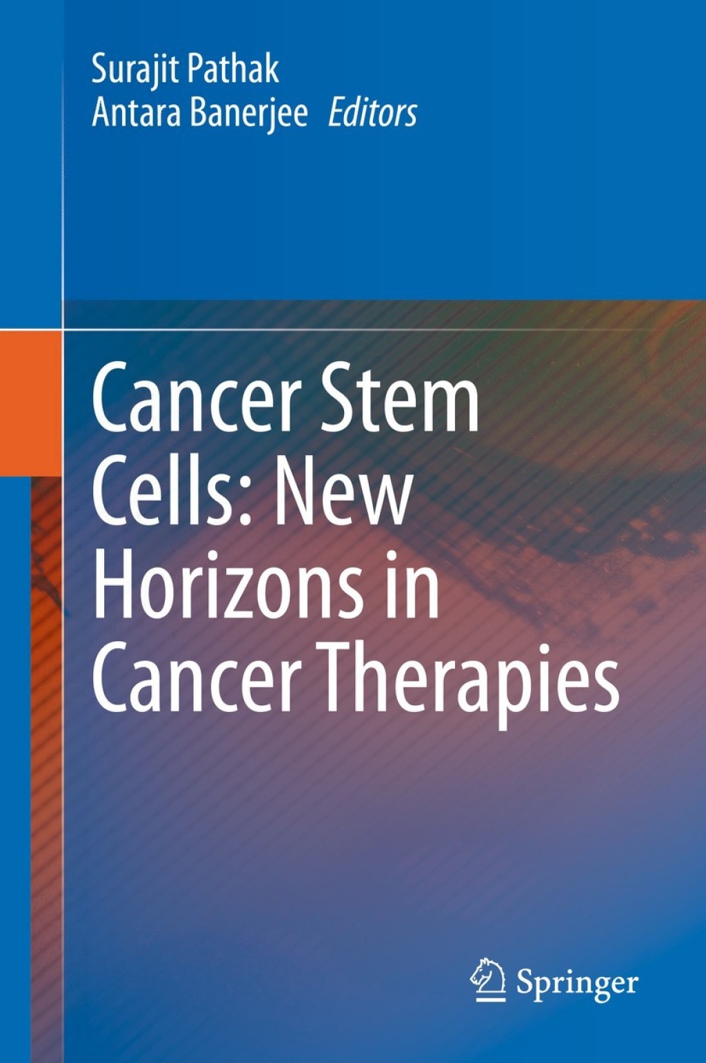 Cancer Stem Cells: New Horizons in Cancer Therapies 1st Edition
