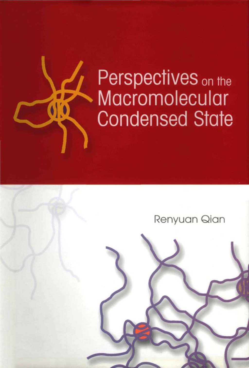 PERSPECTIVES ON THE MACROMOLECULAR CON.. 