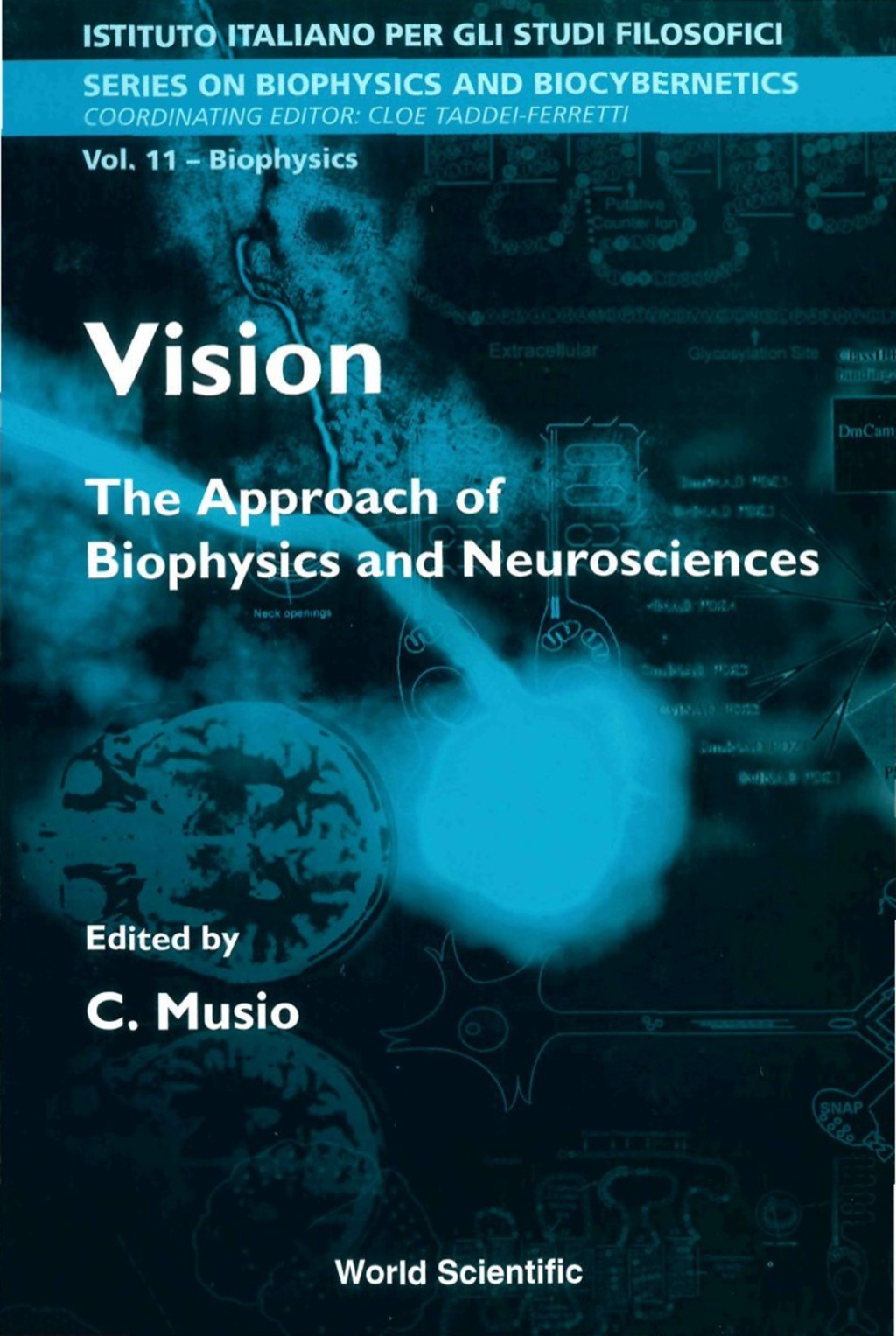 VISION               (V11) The Approach of Biophysics and Neurosciences 
