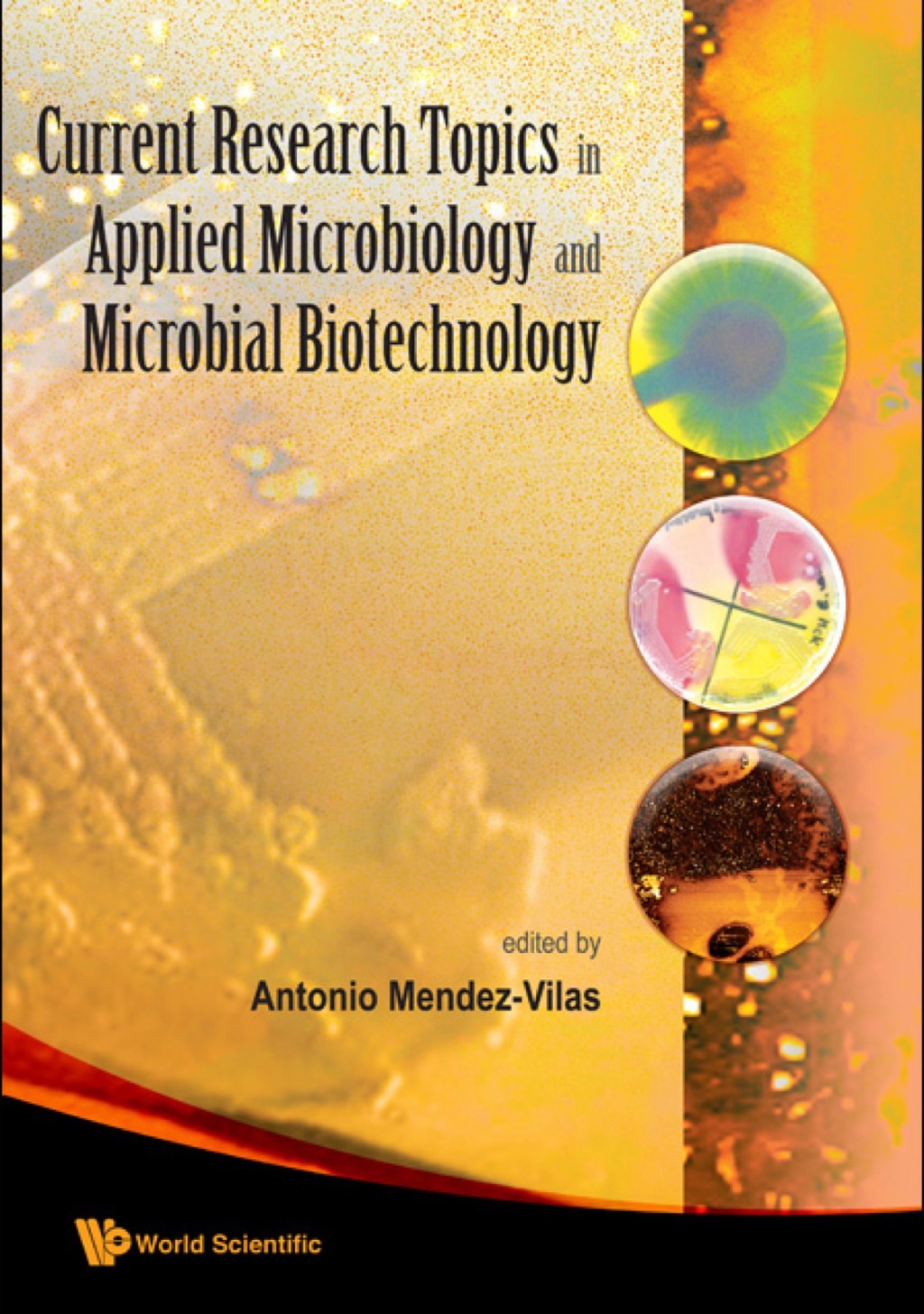 CURRENT RESEARCH TOPICS IN APPLIED MIC.. 
