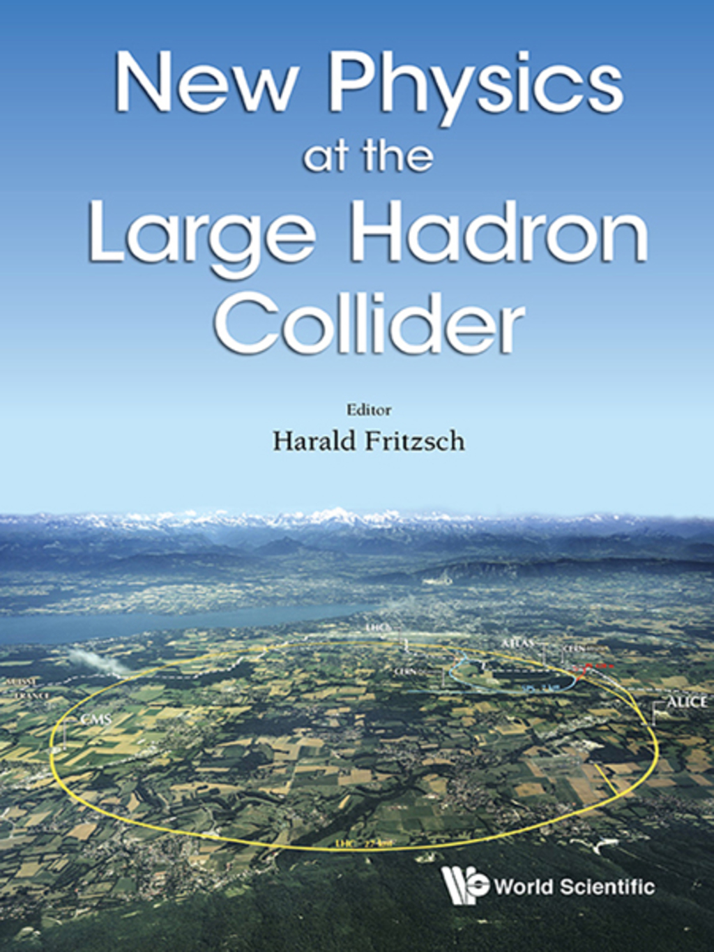 New Physics at the Large Hadron Collider: Proceedings of the Conference 