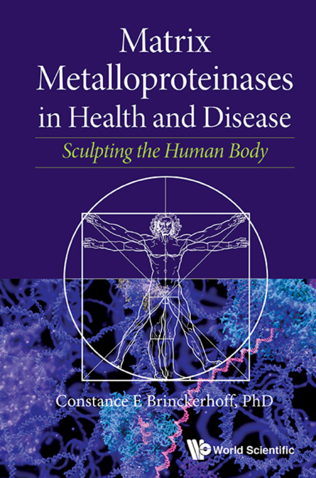 Matrix Metalloproteinases in Health and Disease: Sculpting the Human Body 