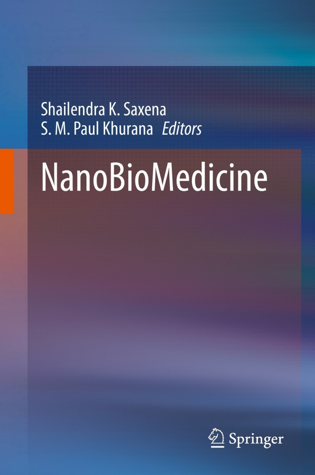 NanoBioMedicine 1st Edition