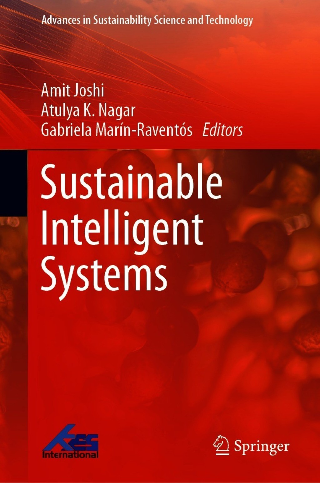 Sustainable Intelligent Systems 