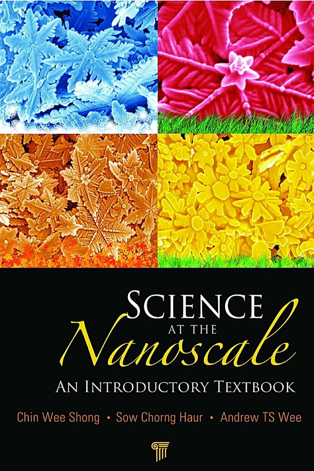 Science at the Nanoscale An Introductory Textbook 1st Edition