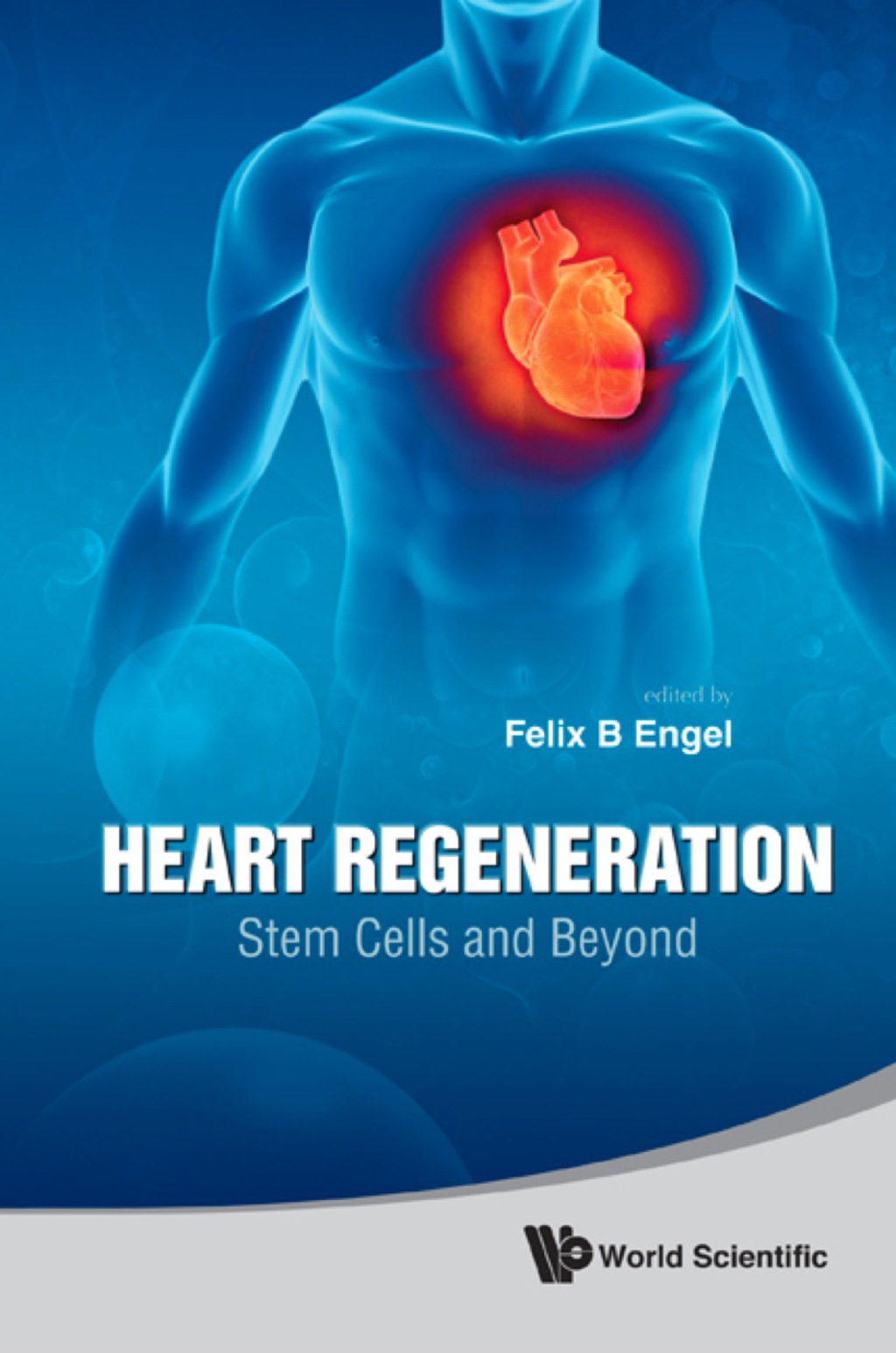 Heart Regeneration: Stem Cells And Beyond 