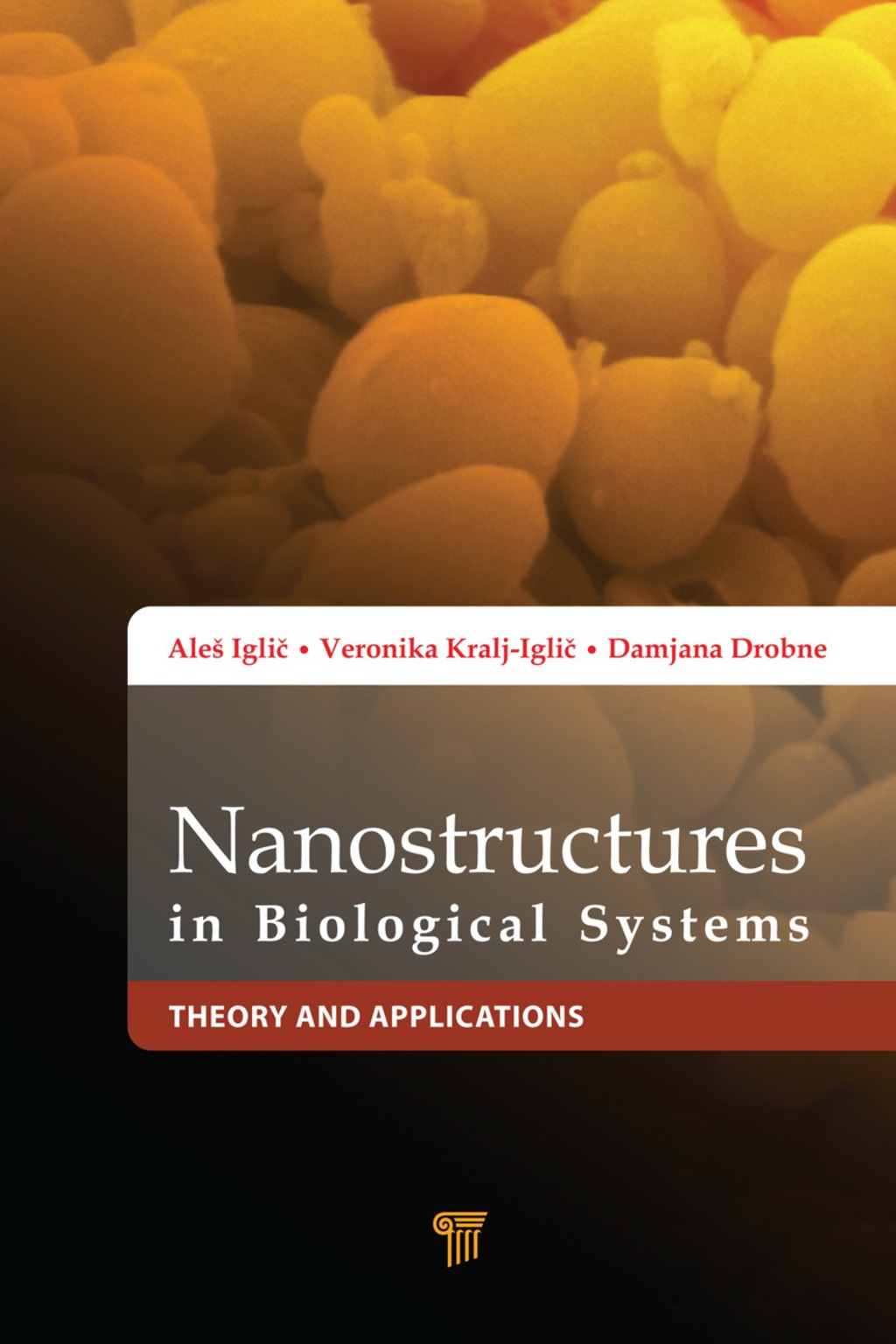 Nanostructures in Biological Systems Theory and Applications 1st Edition