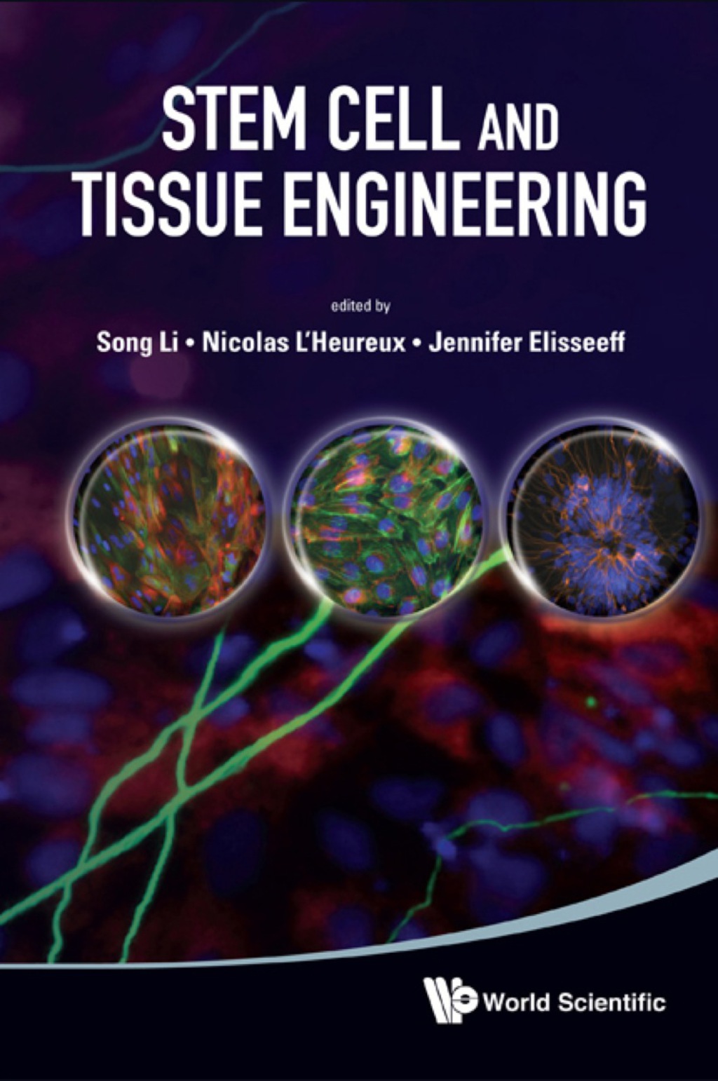 STEM CELL AND TISSUE ENGINEERING 