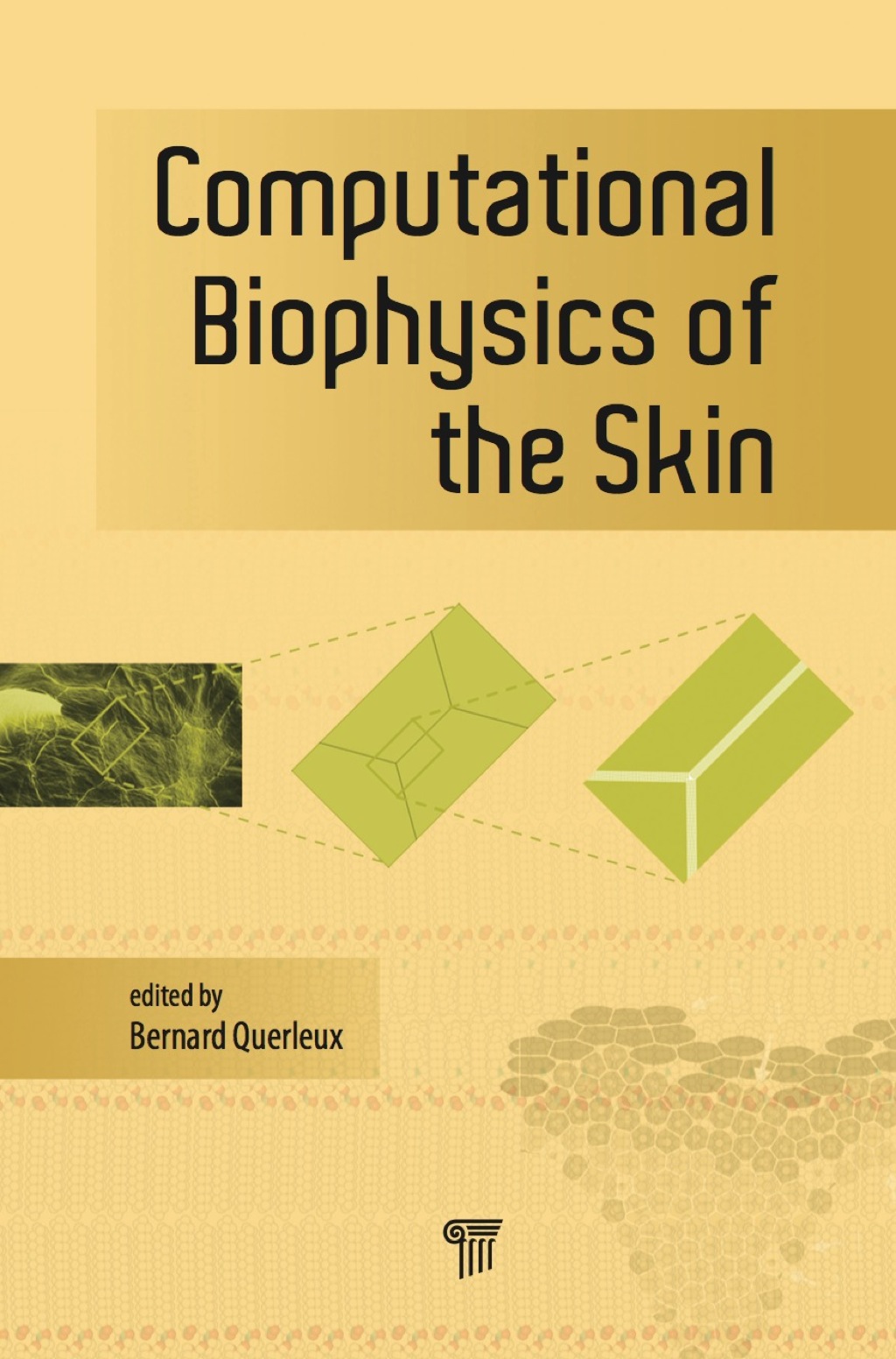 Computational Biophysics of the Skin 1st Edition