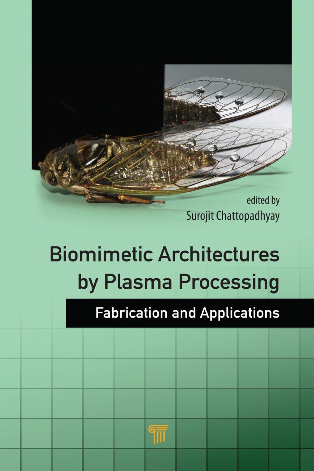 Biomimetic Architectures by Plasma Processing Fabrication and Applications 1st Edition