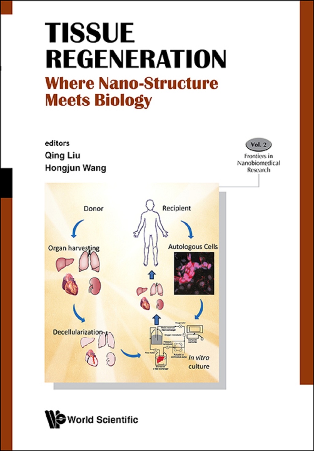 Tissue Regeneration: Where Nano-Structure Meets Biology 