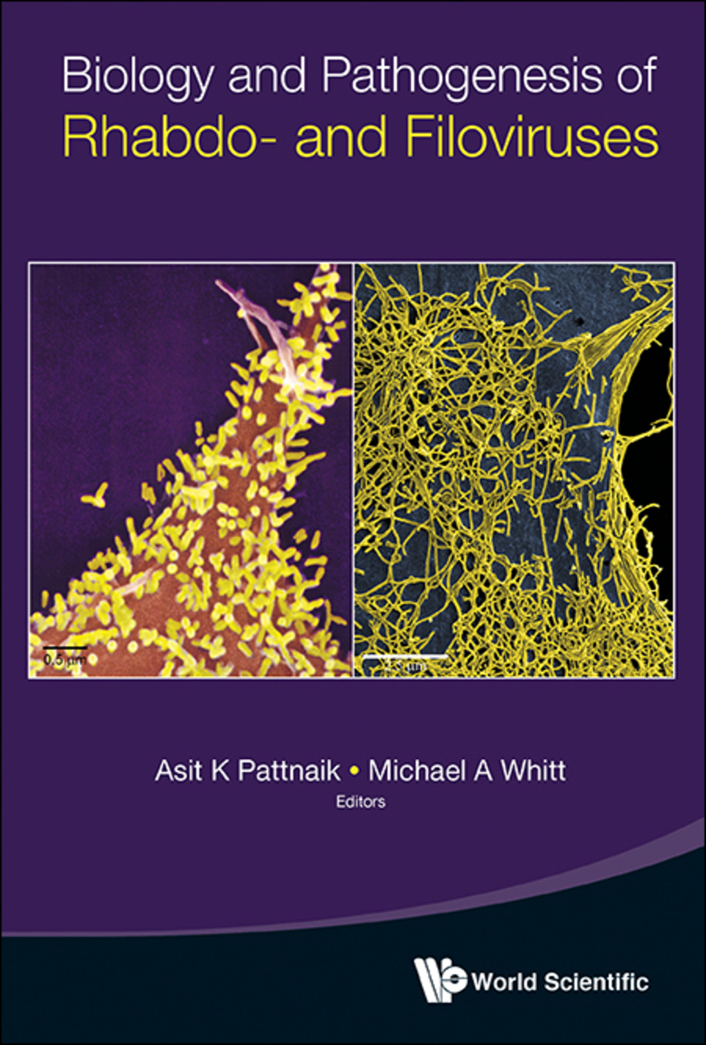 Biology and Pathogenesis of Rhabdo- and Filoviruses 