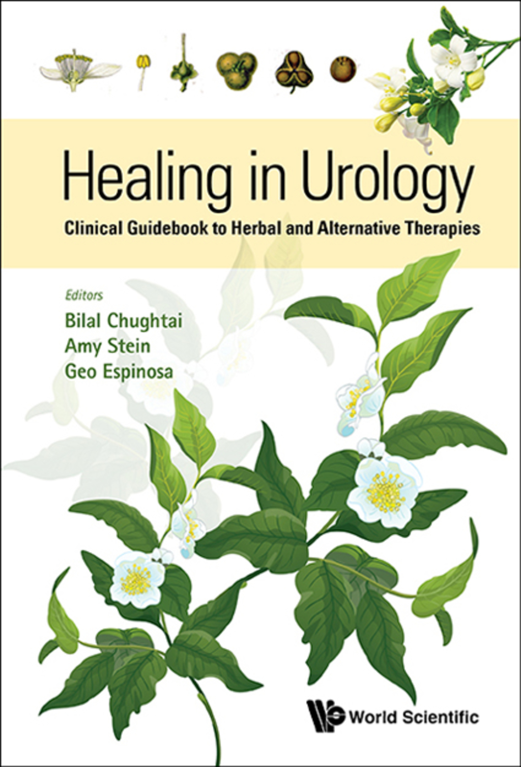 Healing in Urology: Clinical Guidebook to Herbal and Alternative Therapies 