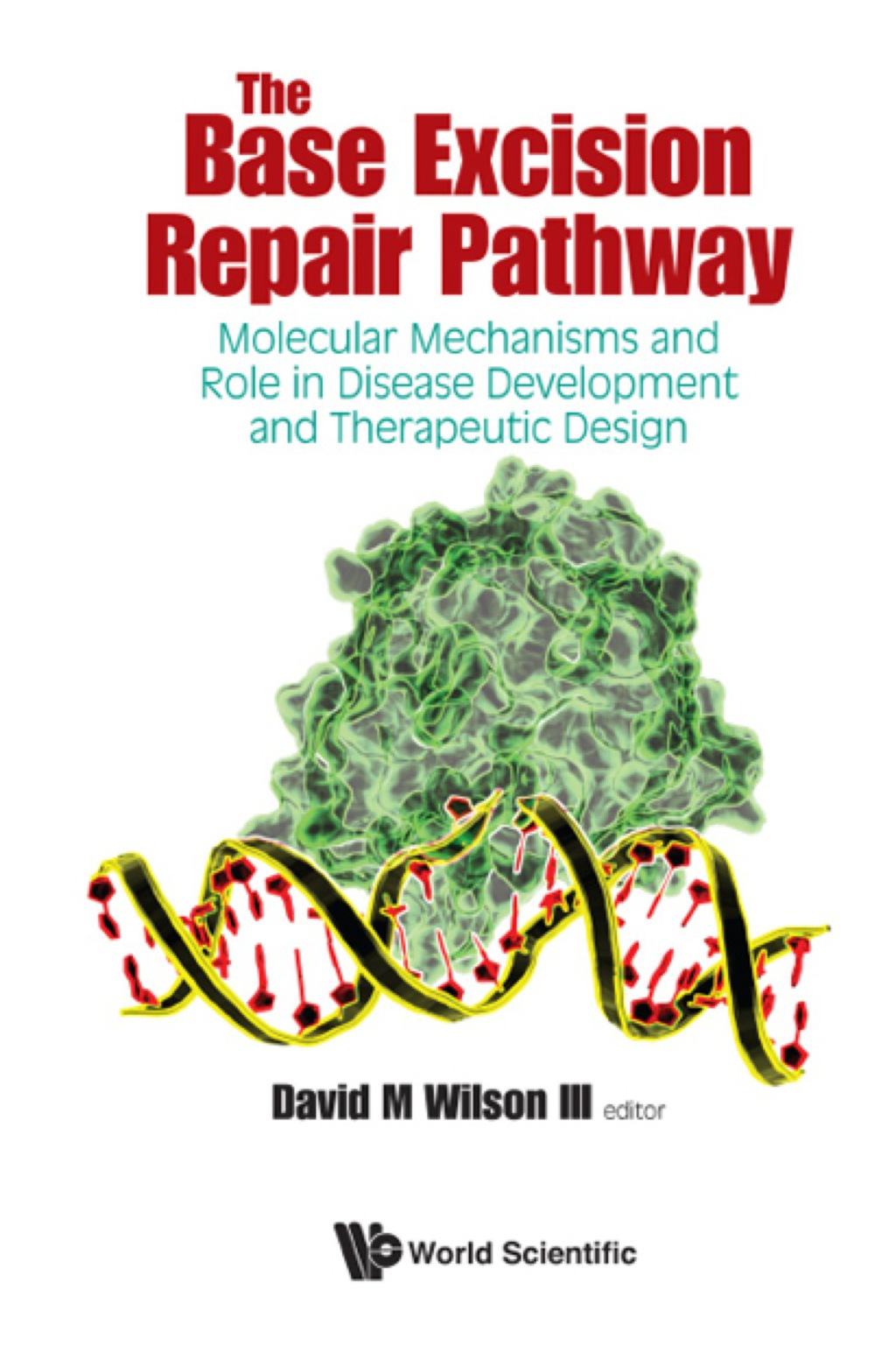 BASE EXCISION REPAIR PATHWAY, THE Molecular Mechanisms and Role in Disease Development and Therapeutic Design 