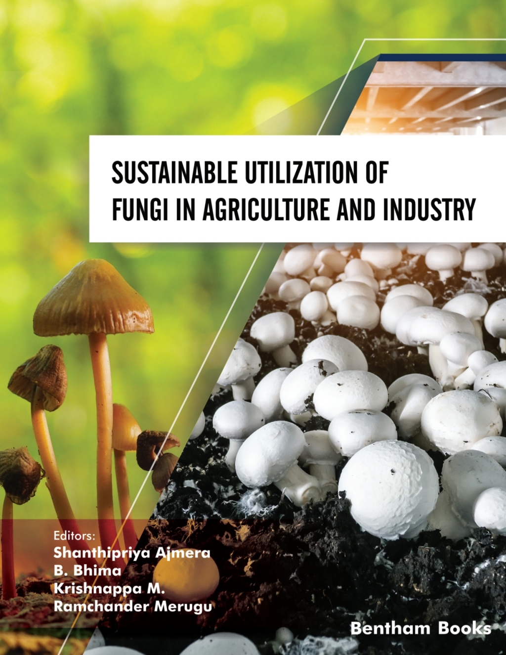 Sustainable Utilization of Fungi in Agriculture and Industry 1st Edition
