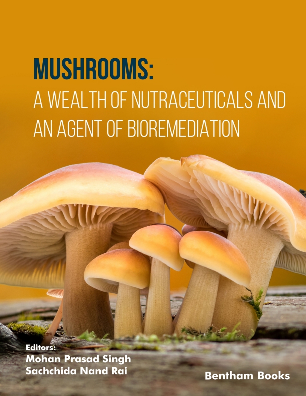 Mushrooms: A Wealth of Nutraceuticals and An Agent of Bioremediation 1st Edition
