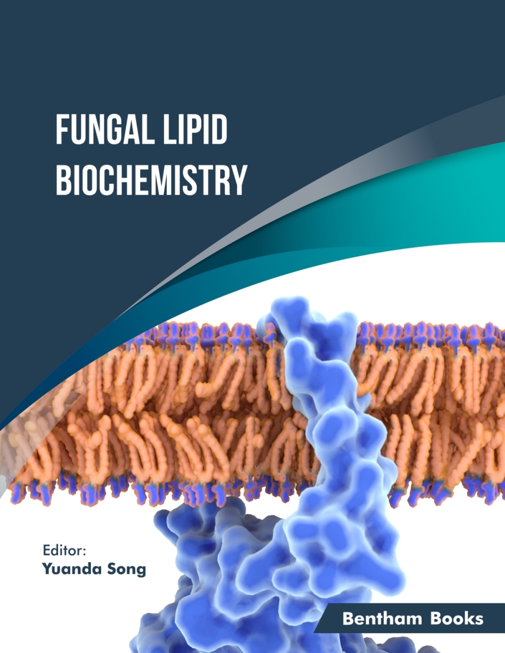 Fungal Lipid Biochemistry 1st Edition