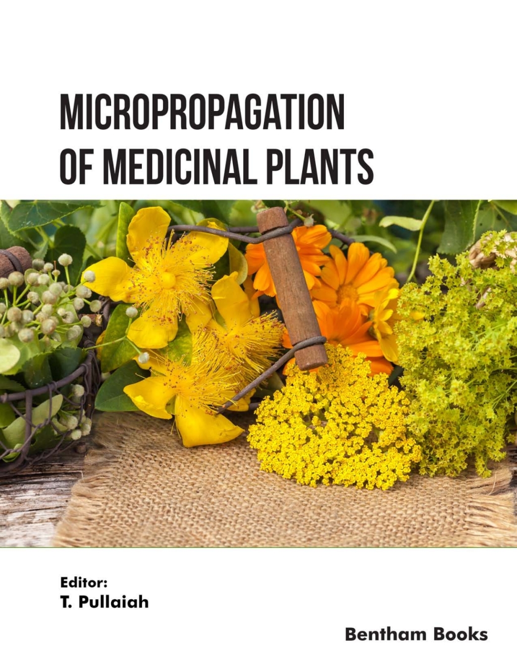 Micropropagation of Medicinal Plants: Volume 1 1st Edition