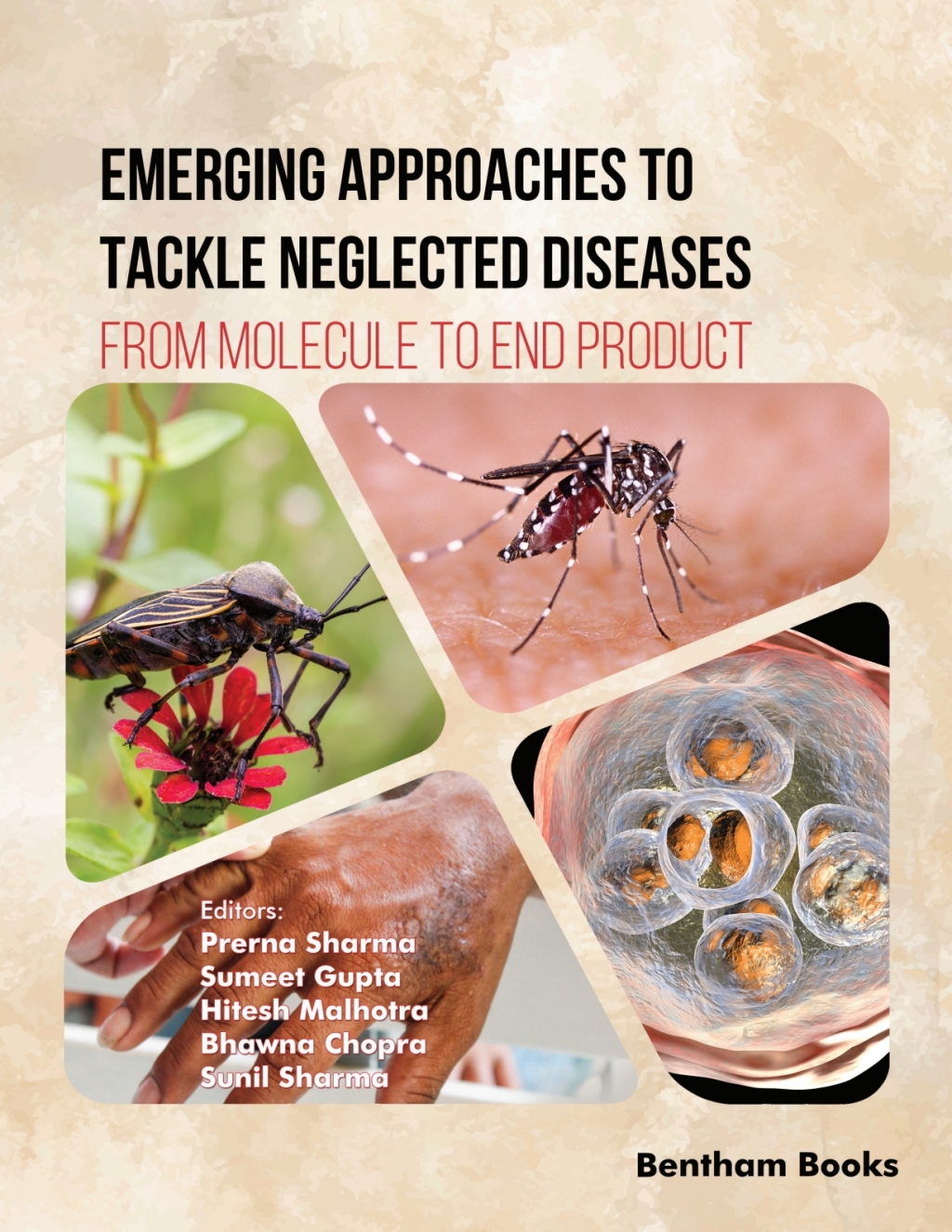 Emerging Approaches to Tackle Neglected Diseases: From Molecule to End Product 1st Edition