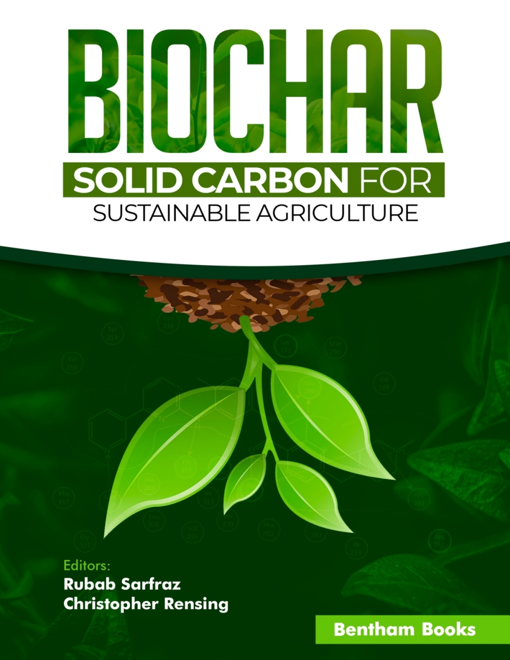 Biochar - Solid Carbon for Sustainable Agriculture 1st Edition