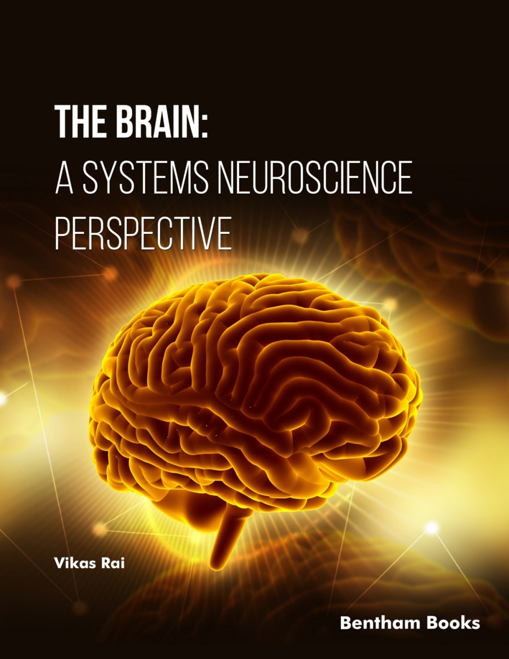 The Brain: A Systems Neuroscience Perspective 1st Edition