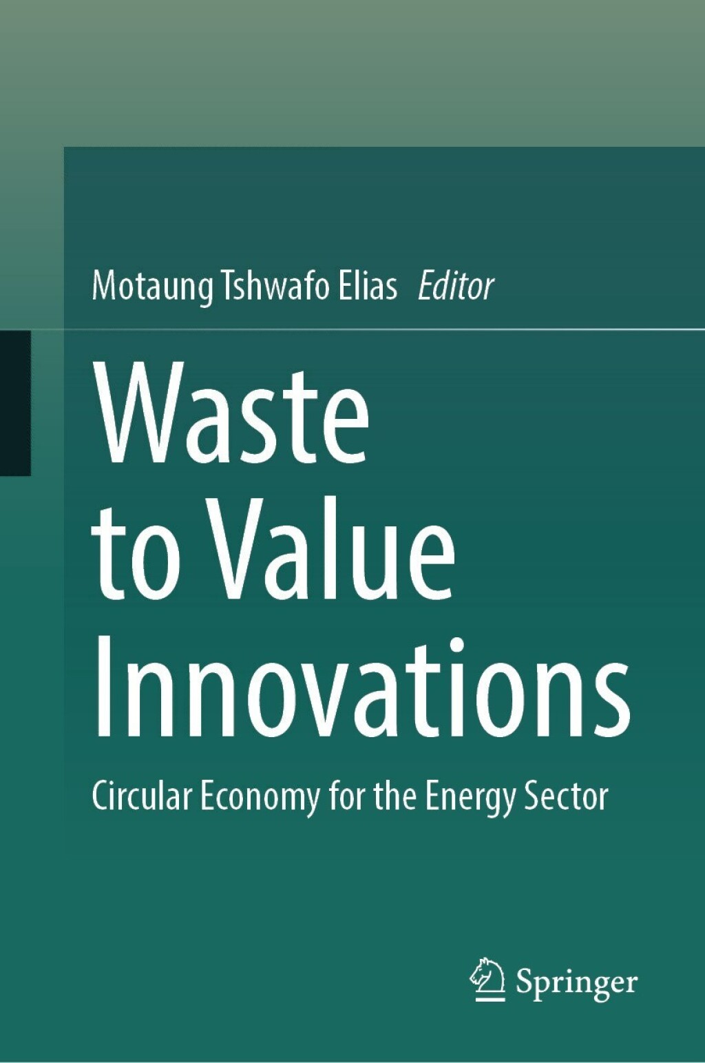 Waste to Value Innovations Circular Economy for the Energy Sector 