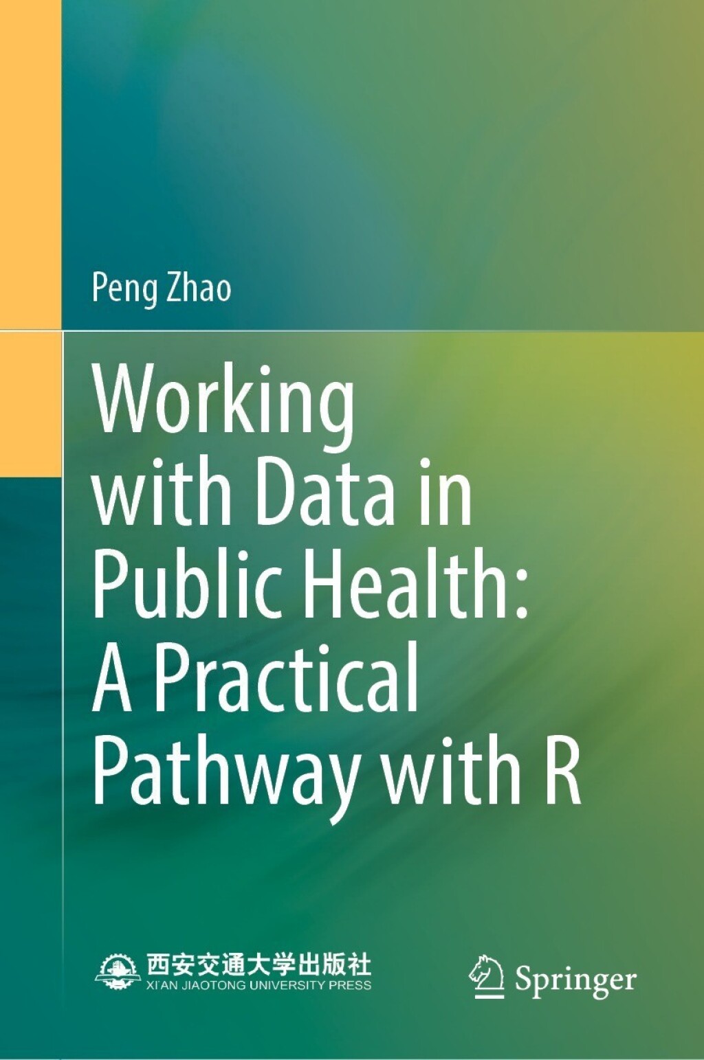 Working with Data in Public Health: A Practical Pathway with R 