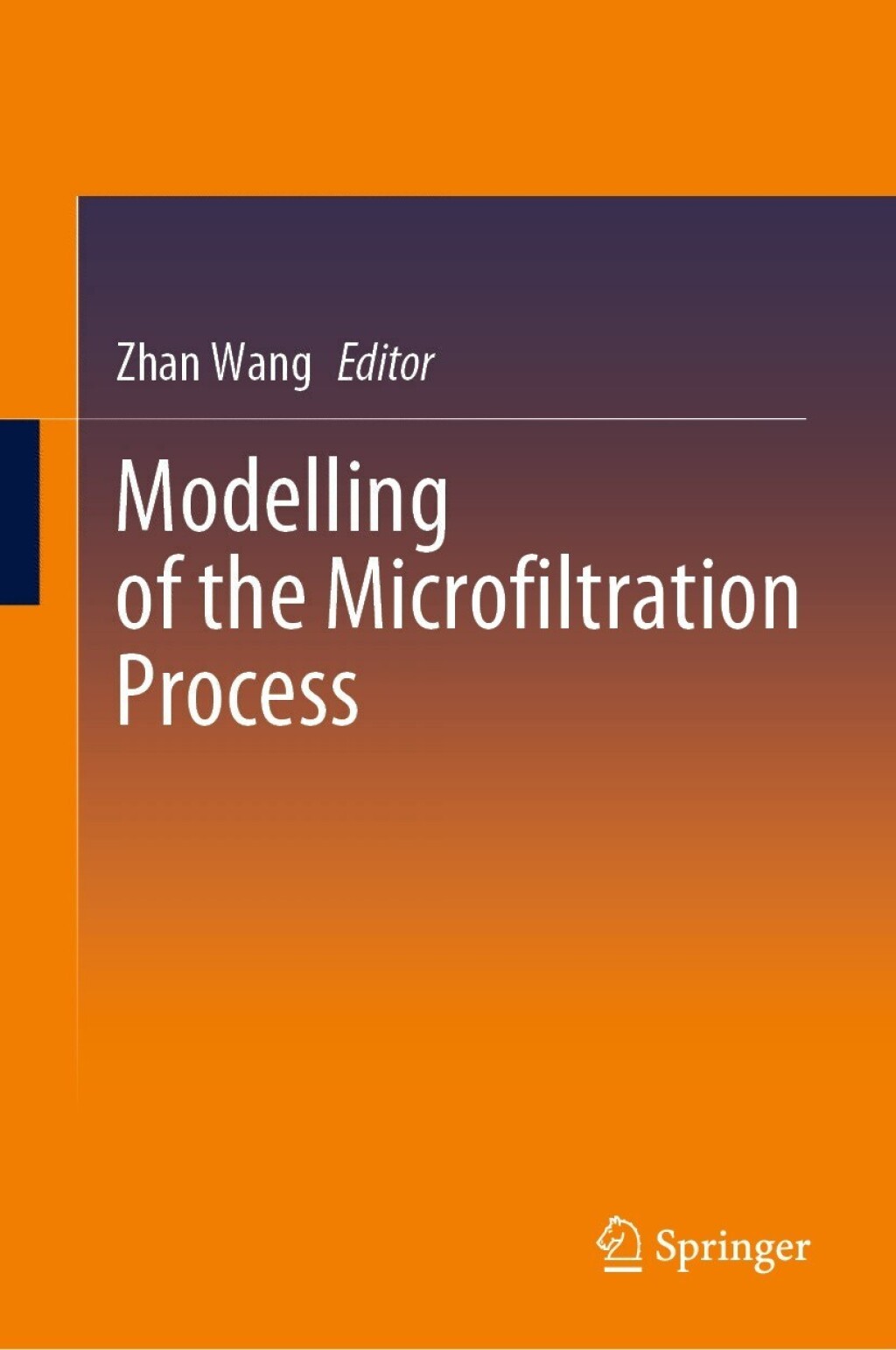 Modelling of the Microfiltration Process 