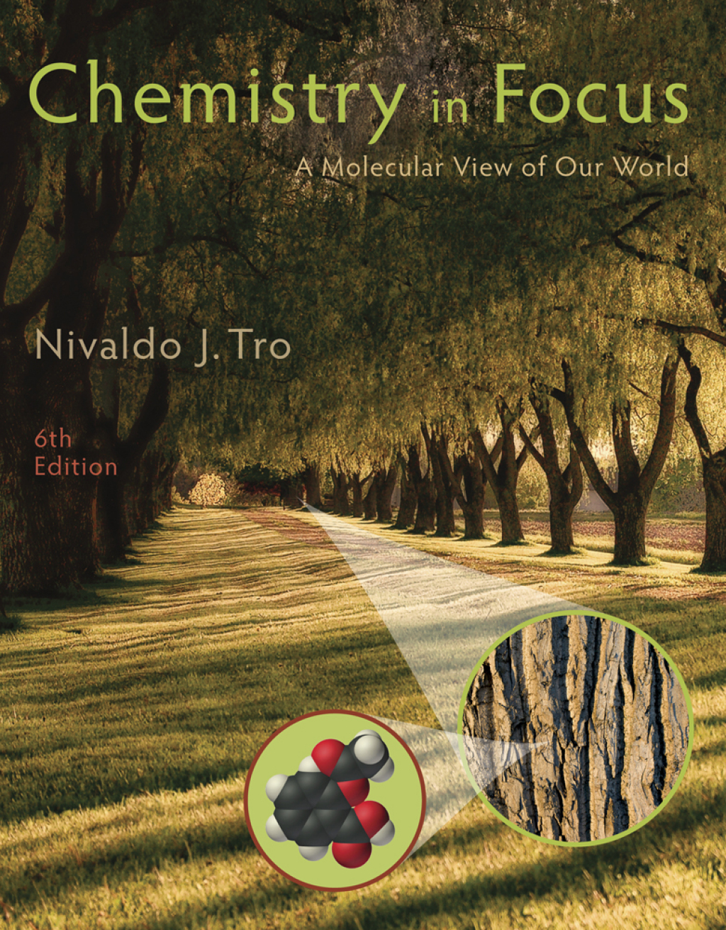 Chemistry in Focus: A Molecular View of Our World 6th Edition