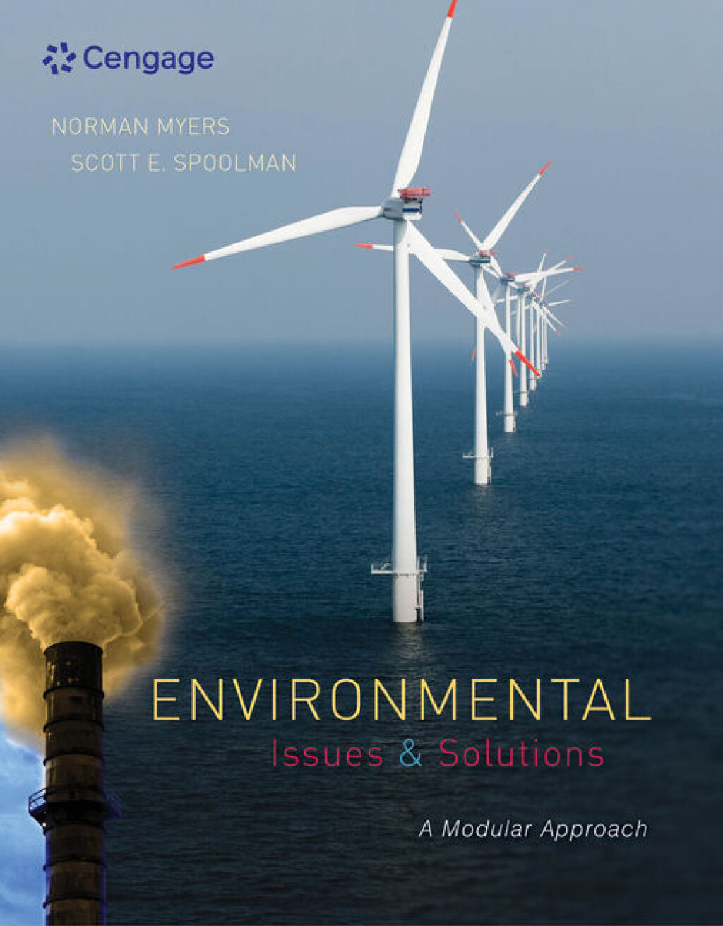 Environmental Issues and Solutions: A Modular Approach 1st Edition