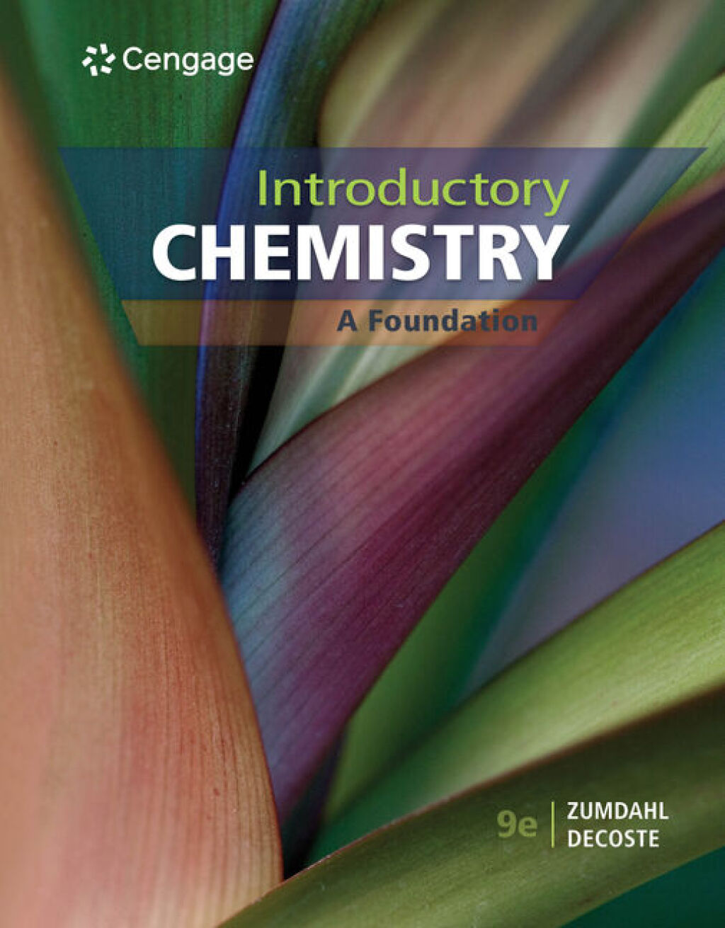 Introductory Chemistry: A Foundation 9th Edition