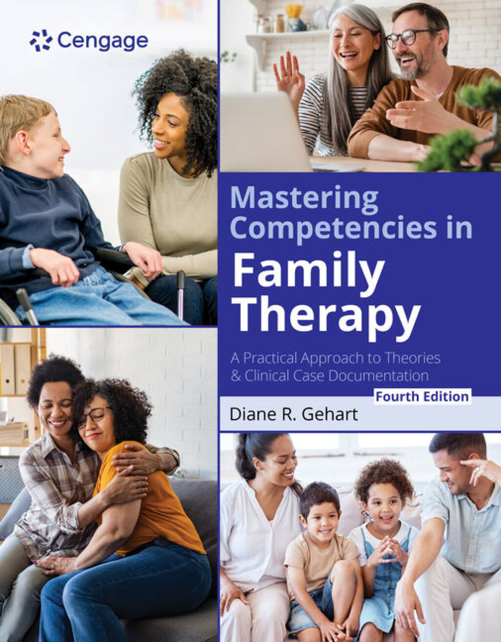 Mastering Competencies in Family Therapy: A Practical Approach to Theories and Clinical Case Documentation 4th Edition