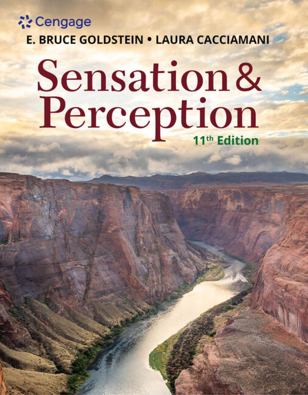 Sensation and Perception 11th Edition