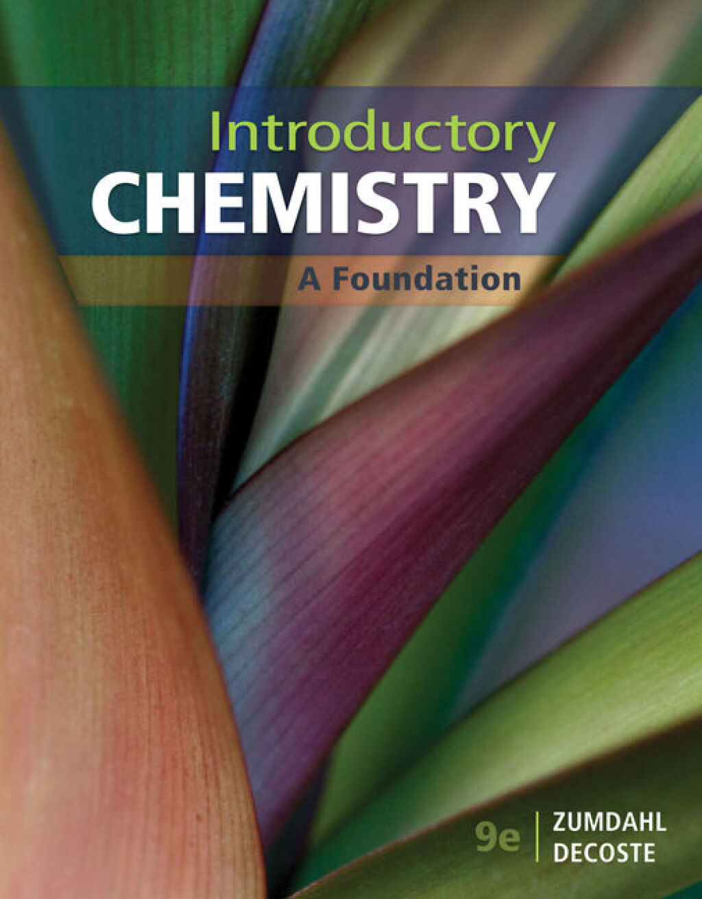 Student Solutions Manual for Zumdahl/DeCoste's Introductory Chemistry: A Foundation, 9th 9th Edition