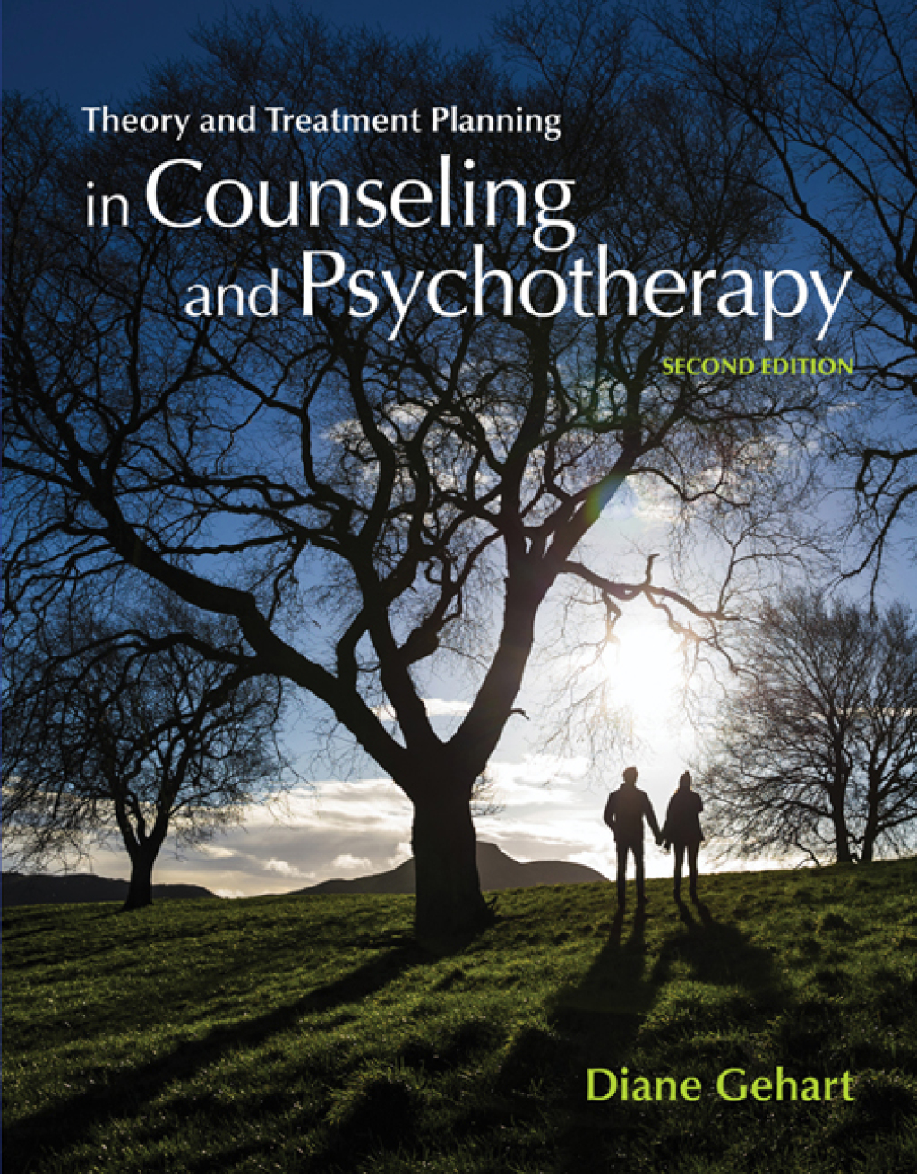 Theory and Treatment Planning in Counseling and Psychotherapy 2nd Edition
