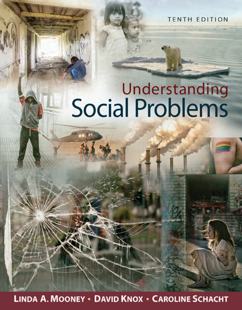 Understanding Social Problems Enhanced 10th Edition