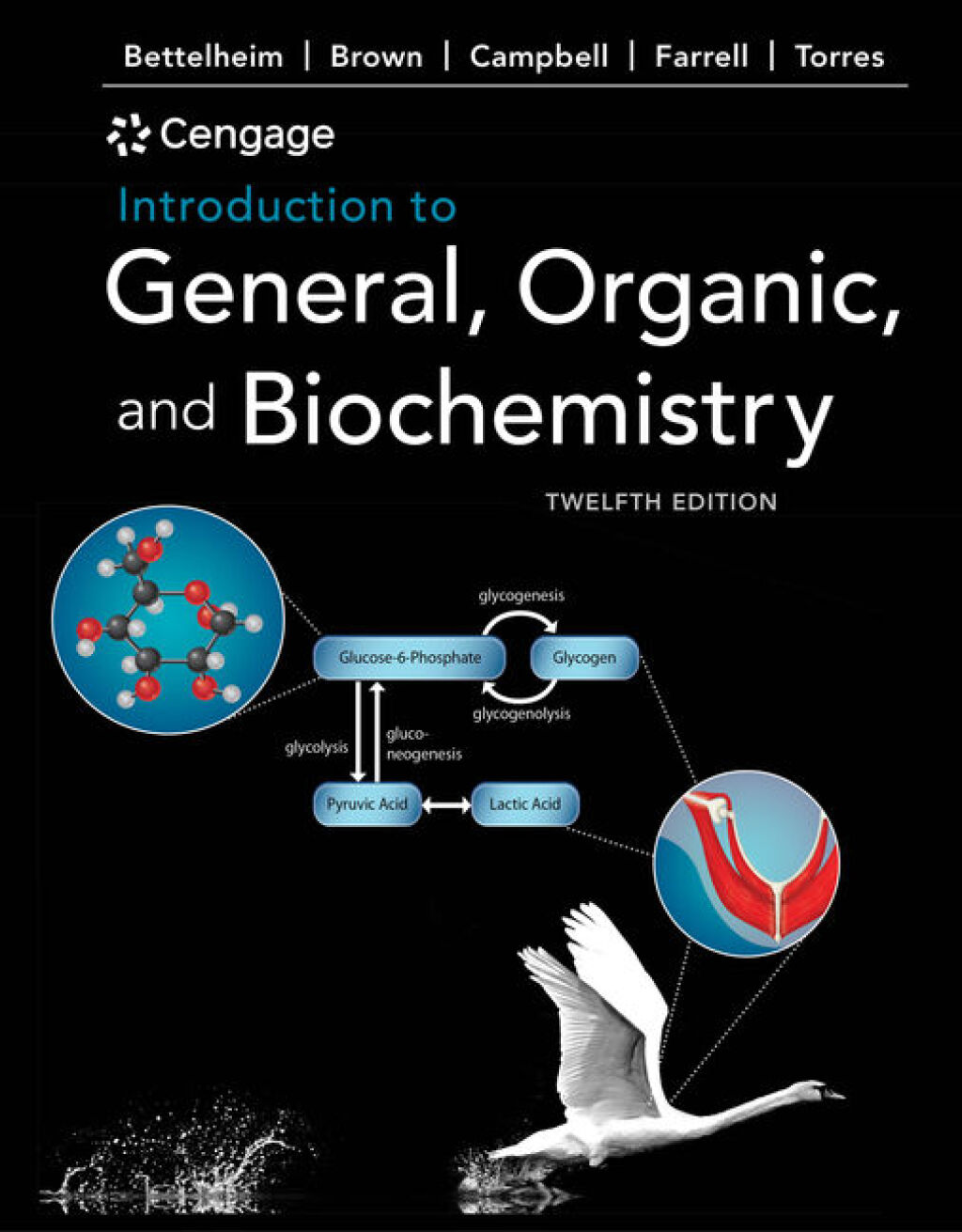 Introduction to General, Organic and Biochemistry 12th Edition