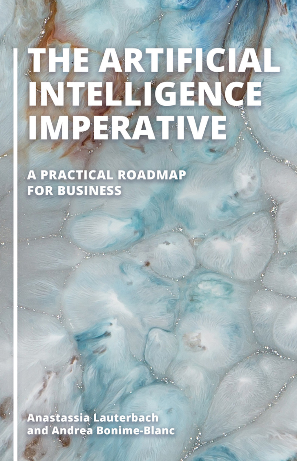 The Artificial Intelligence Imperative A Practical Roadmap for Business 1st Edition