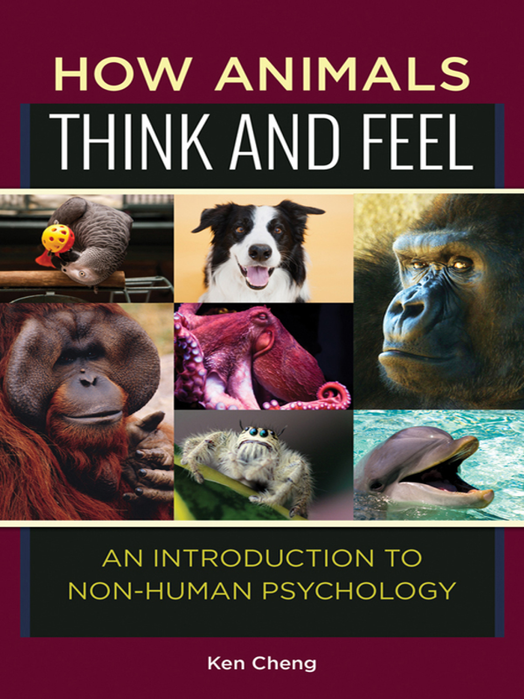 How Animals Think and Feel An Introduction to Non-Human Psychology 1st Edition
