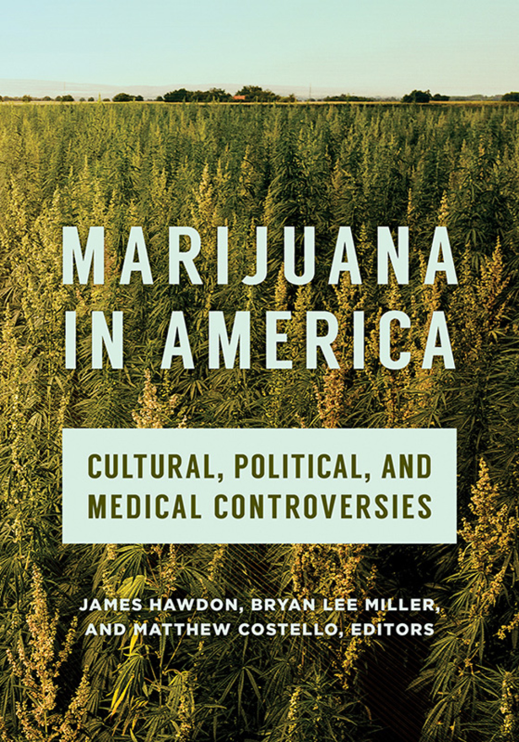 Marijuana in America Cultural, Political, and Medical Controversies 1st Edition