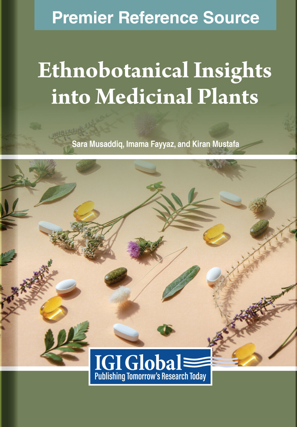 Ethnobotanical Insights Into Medicinal Plants 