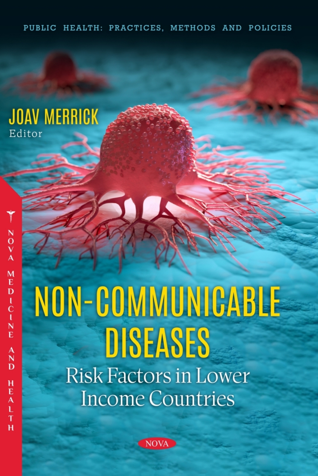 Non-Communicable Diseases: Risk Factors in Lower Income Countries 