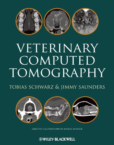 Veterinary Computed Tomography (PDF/EPUB Version)