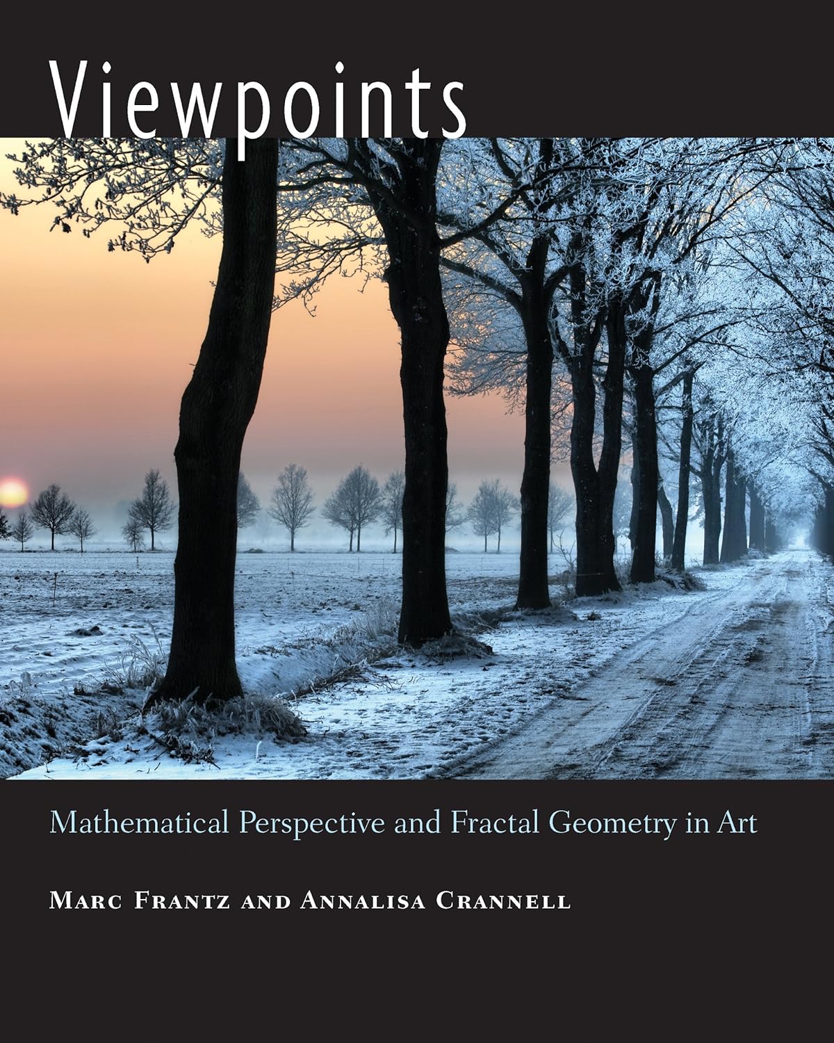 Viewpoints: Mathematical Perspective and Fractal Geometry in Art (PDF/EPUB Version)