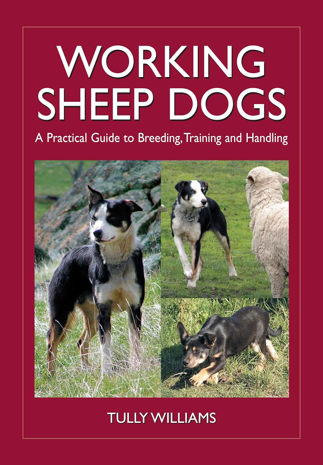 Working Sheep Dogs: A Practical Guide to Breeding, Training and Handling (Landlinks Press) (PDF/EPUB Version)
