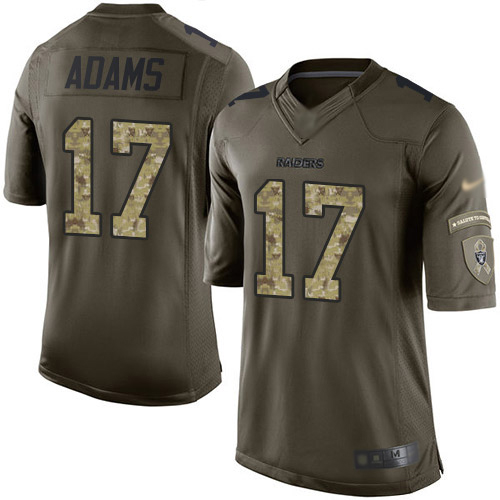 Youth Raiders #17 Davante Adams Green Stitched NFL 2015 Salute To Service Jersey